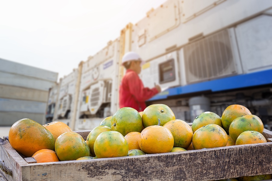 Data Telematics Cold Chain Monitoring