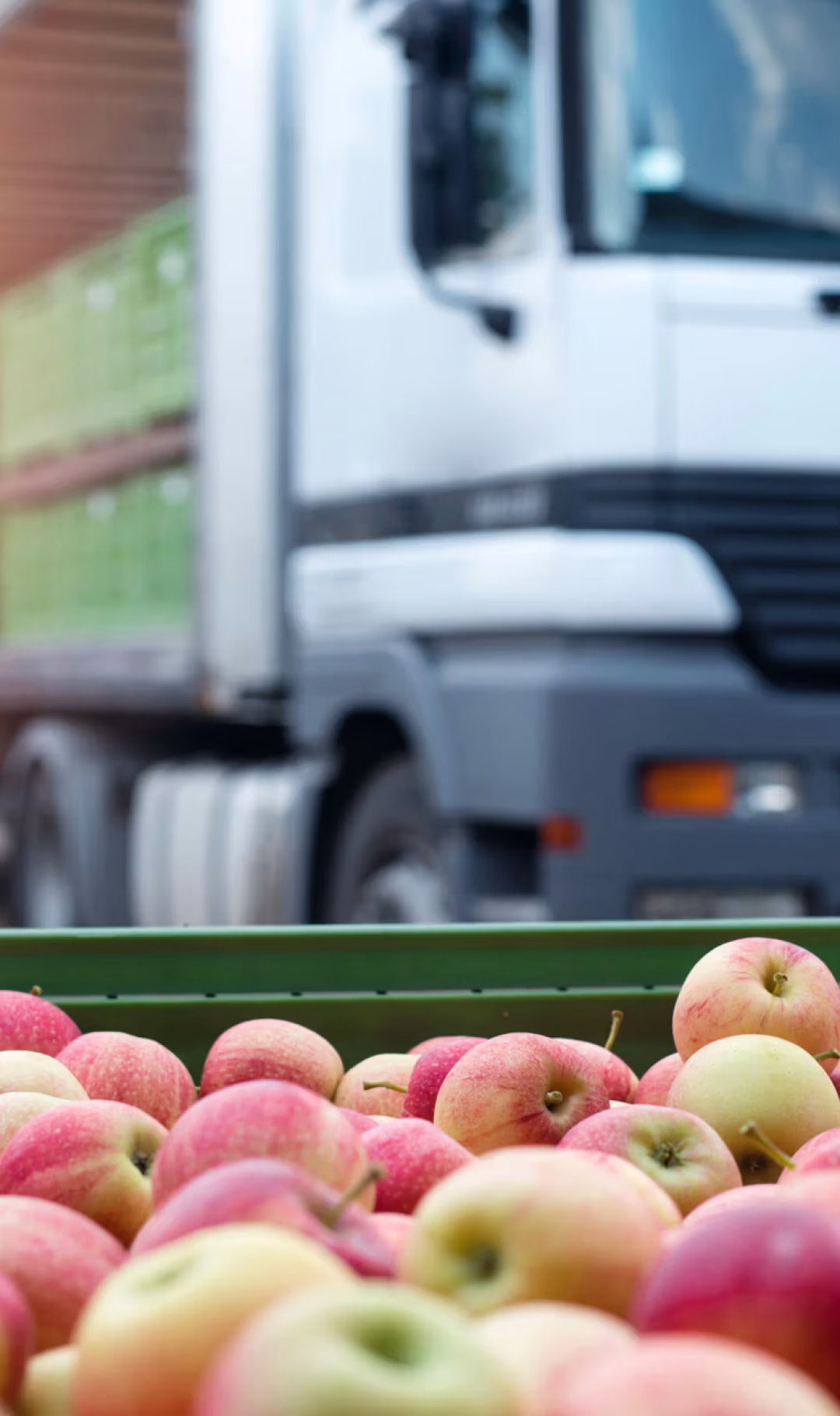 Fruit and food distribution. Truck loaded with containers full o