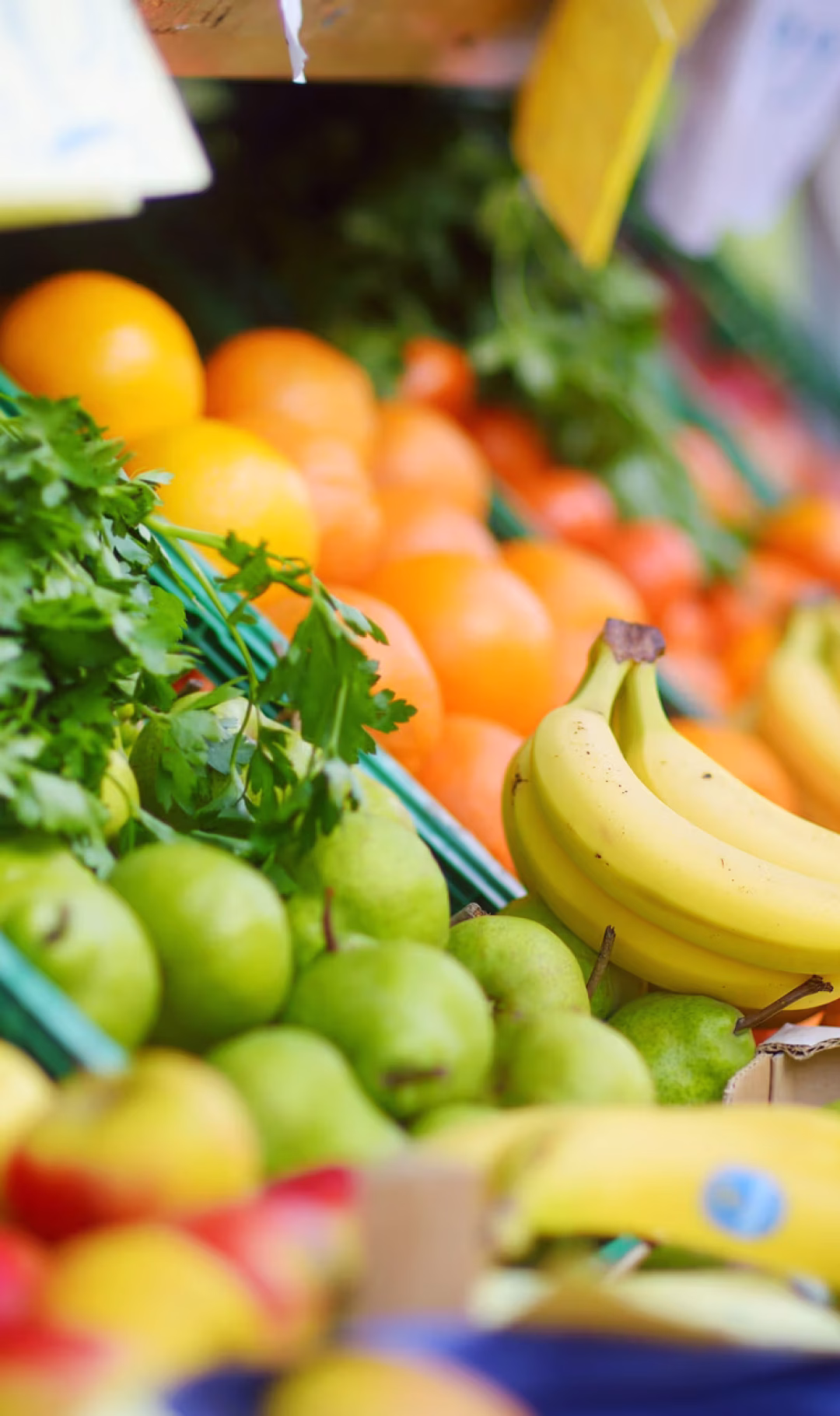 Fresh healthy bio fruits and vegetables
